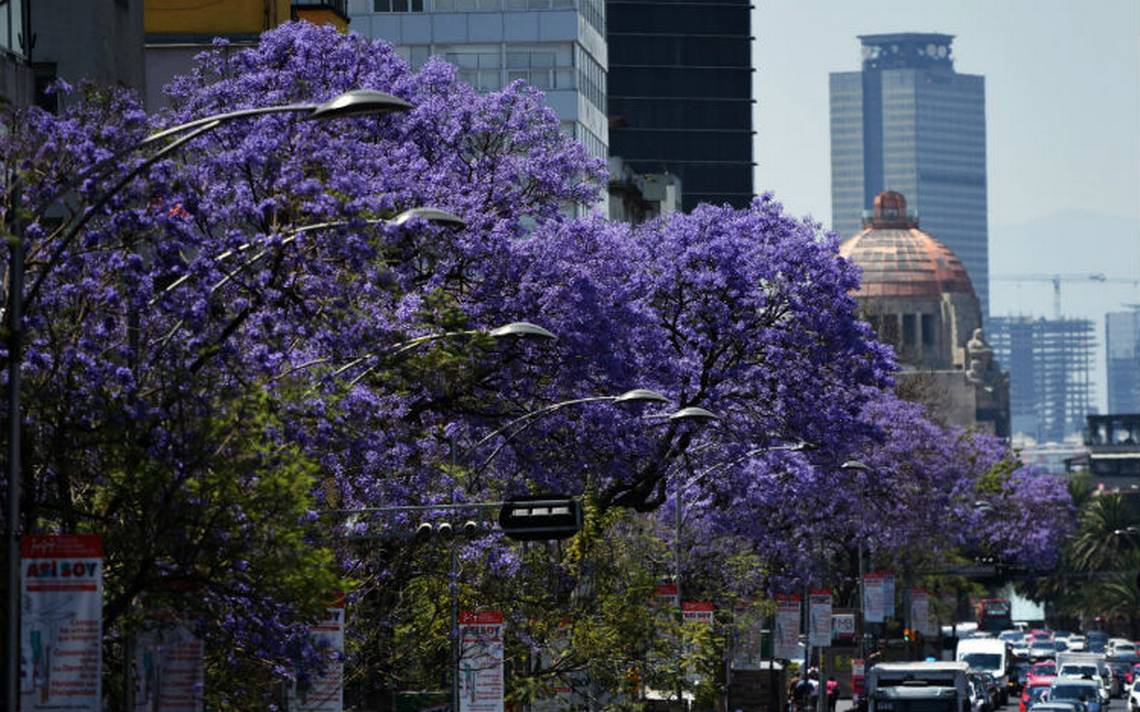 Para celebrar la primavera, CDMX alista festival musical El Sol de